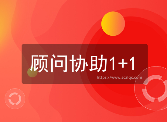 顾问协助1+1