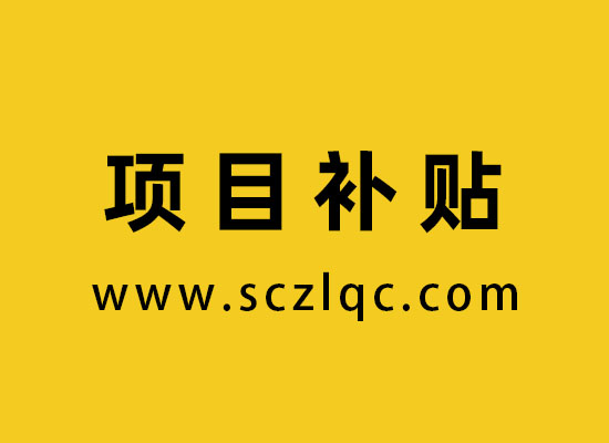 项目补贴